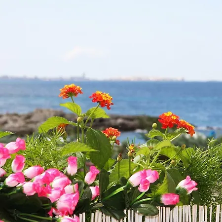 Treasure Vakantiehuis